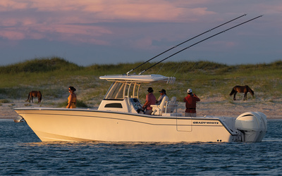 Grady-White Canyon 306