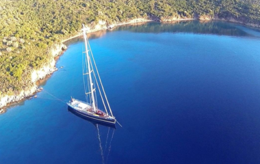 Southern Wind Freebird