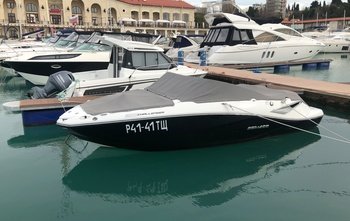 SeaDoo 210 Challenger SE (2011)