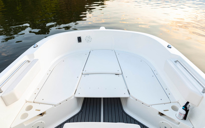 Bayliner T22CC