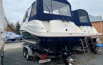 Sea Ray 245 (2006)
