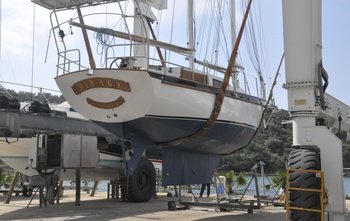 Custom 79 (2015)