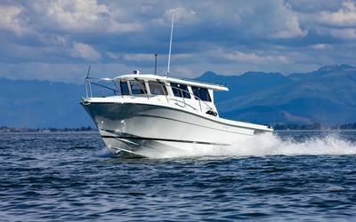 Ocean Sport 33’ Roamer