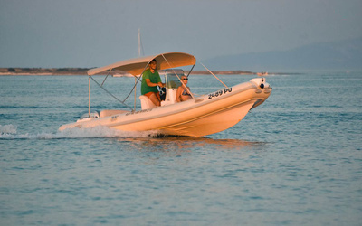 Tiger Marine ProLine 550