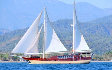 Custom Boats Seahorse