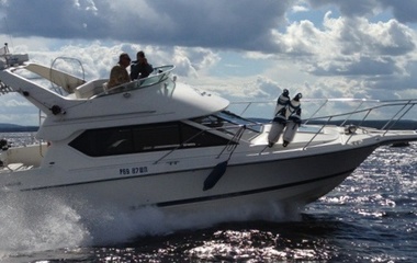 Bayliner 266 Discovery