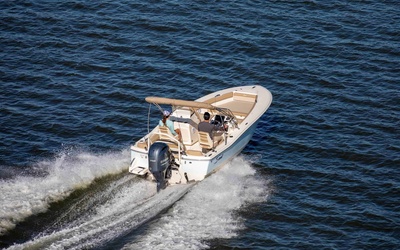 Scout 195 Sport Dorado