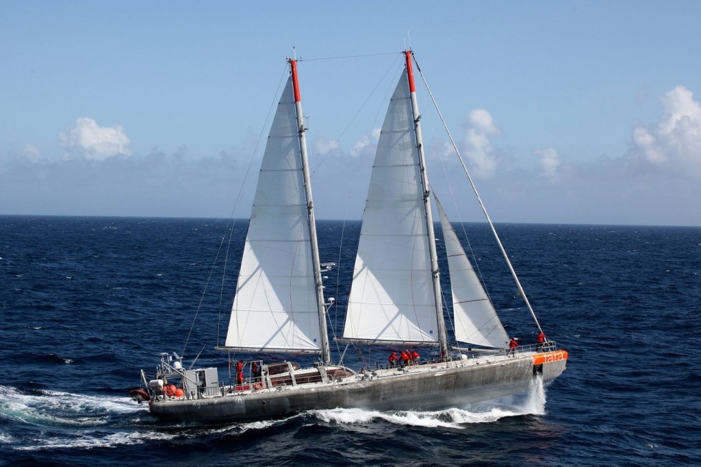 Although the award was established for motor yachts, an exception was made for the Tara sailing boat. He received his award for his scientific expeditions Tara Artic (2006-2008), Tara Océans (2009-2013), Tara Méditerranée (2014) and Tara Pacific (2016-2018). Above all, the Tara expeditions are a story about men and women whose passion is shared by the Yacht Club de Monaco. The club supports this adventure at the intersection of science, technology and education: one of the young members of the Yacht Club de Monaco, Charles Terrin was an assistant during the first project in the Arctic, and Bernard d'Alessandri was an assistant during the Tara Océans.