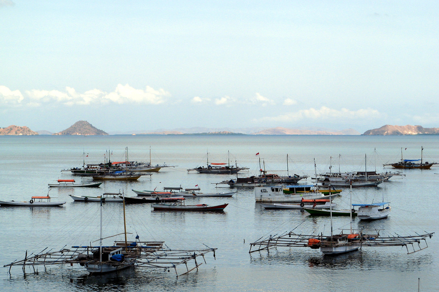 Fishing boats off the coast of Indonesia. Those that are fishing illegally will sink.