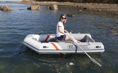 3D Tender Twin Hypalon 290