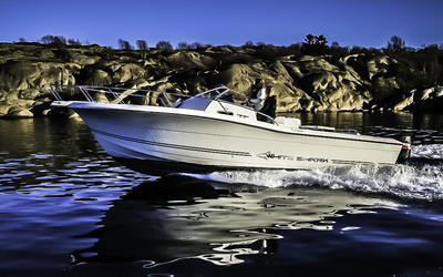 White Shark 298 Cabin