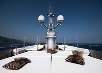 Even the cushions on the open decks are wearing a leopard.
