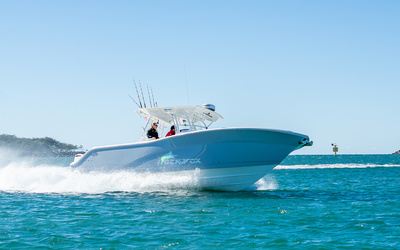 Sea Fox 328 Commander