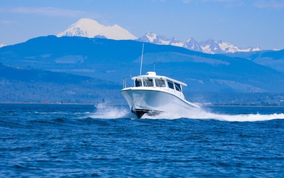 Ocean Sport 30' Roamer