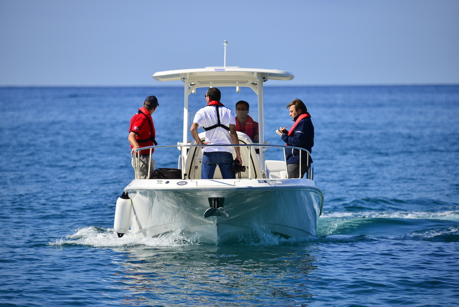 Another Boston Whaler. Model 270 Dauntless. Safety is the cornerstone, there's plenty to hold on to everywhere.