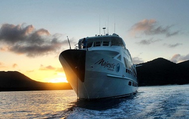 Custom Boats Majestic