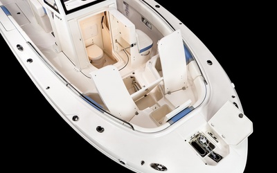 Robalo R270