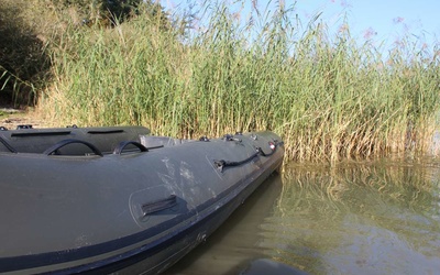 Raptor 470 X-Wide Olijfgroen