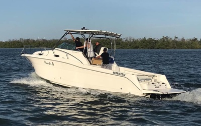 Fishing Raptor 360 WA