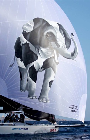 Everybody wishes they were cows.