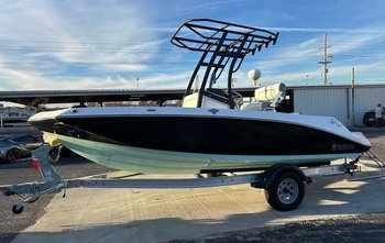 Yamaha 190 FSH (2018)