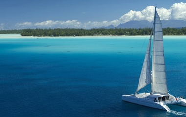 Chantier Multiplast Magic Cat