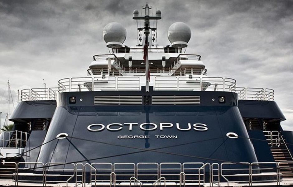 Octopus