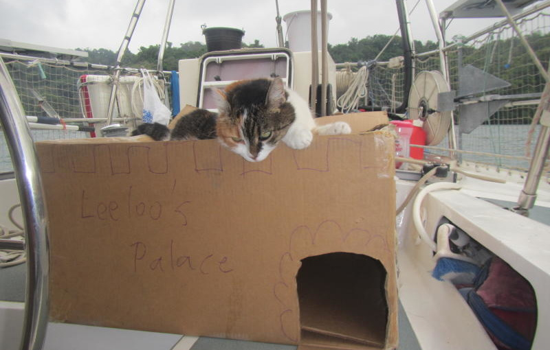 There are boxes in different places on board. One of them is right by the mast, where Leelu likes to carry her post.