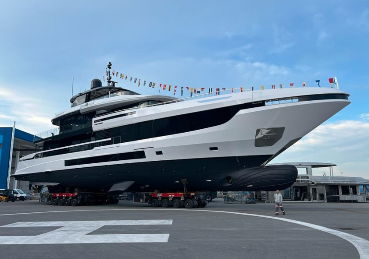 Mangusta Half Irish