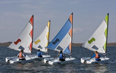 Laser Performance Bug