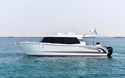 SilverCat 40LUX
