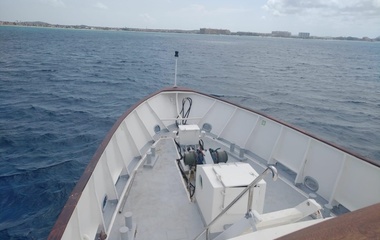 Anastassiades & Tsortanides Star Alliance