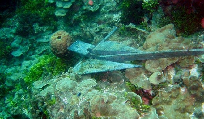 Damaged corals were accidentally photographed by a diver passing by.