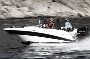 Askeladden 565 Wasper