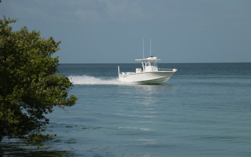 Seahunter 28 Floridian