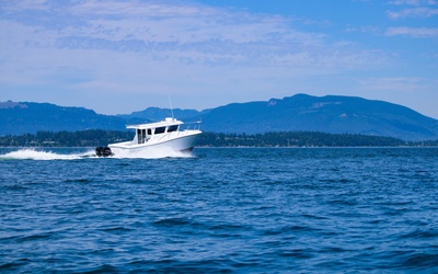 Ocean Sport 30' Roamer