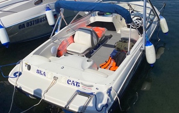 Bayliner 175 Bowrider (2008)
