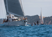 The dolphins have always accompanied the participating boats throughout the races. And that's all photographers who hunt for a beautiful shot!