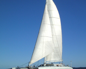 Chantier Multiplast Magic Cat