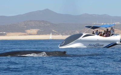 Paritetboat Looker 320