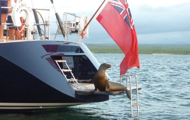 Southern Wind Si Vis Pacem