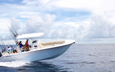 Sea Fox 288 Commander