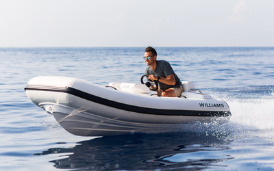 Williams Turbojet 325