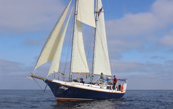 Custom 79 (2015)