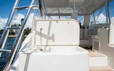 Buddy Davis 48 Express