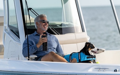 Boston Whaler 280 Dauntless