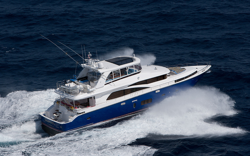 Johnson 80