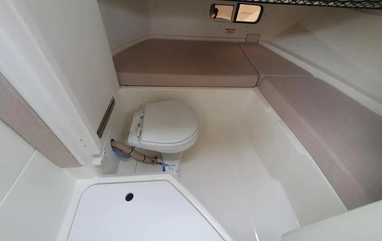 Sea Ray SDX 250 (2024)