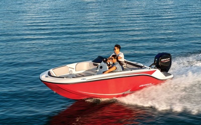 Bayliner M15