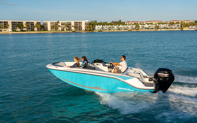 Bayliner Element M17